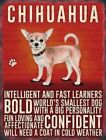 Retro Style Chihuahua  Metal  Hanging Sign - 15 x 20 cm