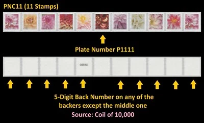 US 5982-5991 5991a Dahlias F PNC11 P1111 5d back # MNH 2025 - Image 1 of 3