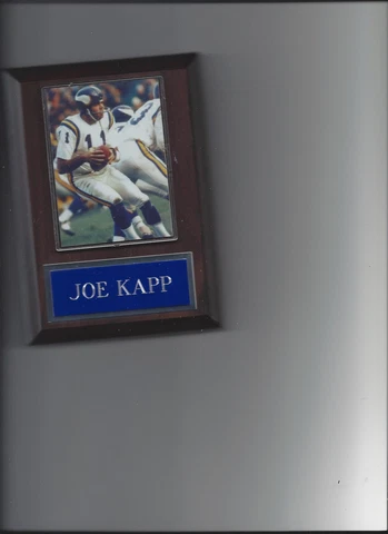 JOE KAPP PLAQUE MINNESOTA VIKINGS FOOTBALL NFL Cover