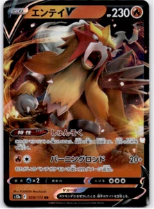 ENTEI V 019/172 S12A VSTAR UNIVERSE POKEMON JAPANESE (DOUBLE RARE, NM) - Picture 1 of 2