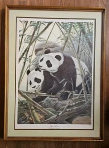 GIANT PANDAS Safari Serie John Ruthven Lithographie gerahmt, nummeriert & signiert - Bild 1 von 7