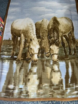 Cuadro Manta Caballo 55” X 77” Reversible y Satinado Recortado por Riveret en España Foto 1 de 4