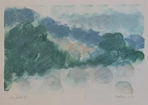 Andrew Liu Hand Signed & Numbered 1/1 Field Trip Framed Lithograph Art Print - Picture 1 of 6