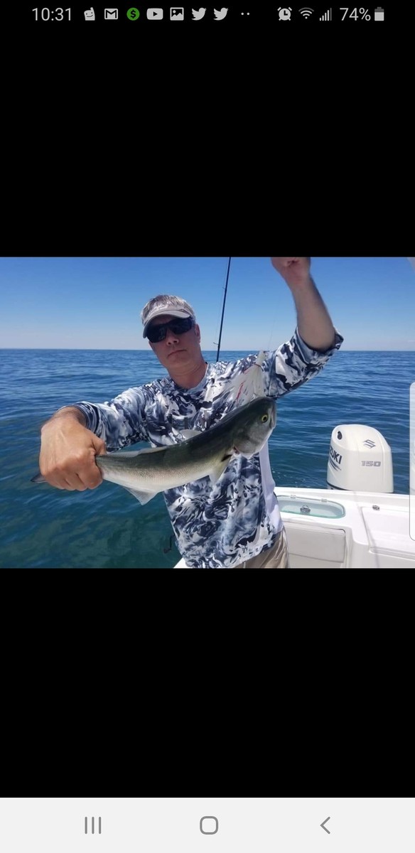 Fishing For Deals With Davey eBay Stores