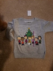 Sudadera Peanuts Charlie Marrón Navidad 2T Niños - Imagen 1 de 4