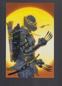 TEENAGE MUTANT NINJA TURTLES #98 (Oasas 2019 LACC D. Baron Virgin Sun 1/700) NM - Picture 1 of 3