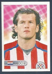 MUNDOCROM WORLD CUP 2006 - #100 - PARAGUAY - NELSON HAEDO VALDEZ - Bild 1 von 1