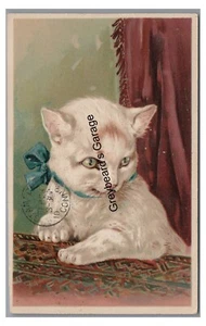Kitten CAT with Bow Vintage PBF serie 5951 Postcard - Picture 1 of 2