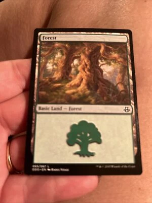 Magic The Gathering Trading card MTG Forest basic Land 065/067 - Image 1 of 2
