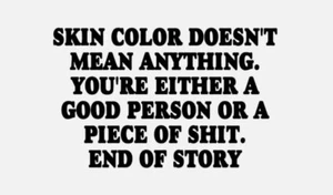 Vinyl Decals for cars trucks funny stickers- Skin color doesnt matter - Picture 1 of 1