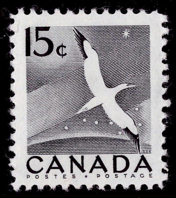 Canada  #343 Northern Gannet Morus bassanus 15c (1954) MLH - Image 1 of 2
