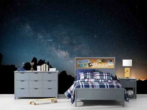 3D Starry Sky Night Self-adhesive Removeable Wallpaper Wall Mural - Picture 1 of 10