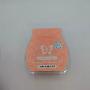 Scentsy GRAPEFRUIT SUNSHINE Wachs schmilzt Riegel 3,2 Unzen NEU KOSTENLOSER VERSAND - Bild 1 von 2