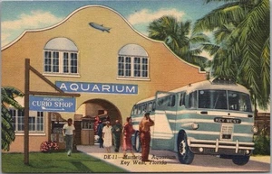 Autobús galgo c1948 KEY WEST, Florida LINO postal "Municipal Aquarium" - Imagen 1 de 2