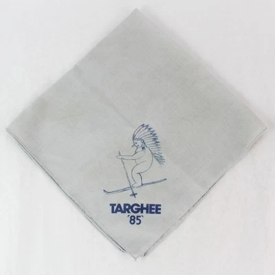 Vintage 1985 Targhee Ski Resort Scarf Bandana Gray 21" Pre-Owned - Image 1 of 4