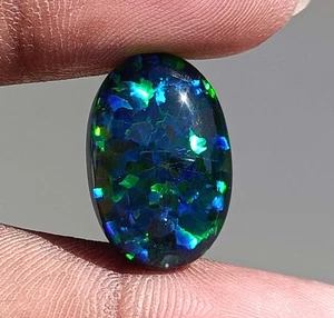10,80Ct EGL zertifizierter natürlicher äthiopischer Schwarzfeueropal seltener & edler Edelstein 5ASR - Bild 1 von 7