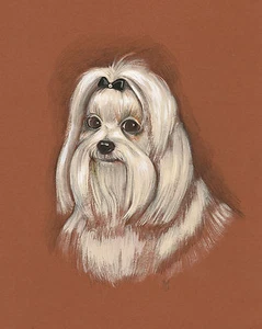 PINTURA ORIGINAL MALTESA 8X10 RYTA PERRO RETRATO DE NAVIDAD REGALO ESTILO VINTAGE MASCOTA DE ARTE - Imagen 1 de 1