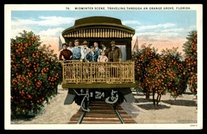 Postkarte Midwinter Szene, Reise durch einen Orangenhain, Florida - Bild 1 von 2