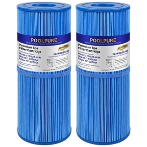 POOLPURE Antimicrobia PRB25-IN-M Spa Filter Replaces Unicel C-4326RA, FC-2375M - Picture 1 of 8