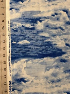 Make A Splash Ocean Exclusively Quilters Cotton Fabric 1/2 Yard (18 By 44”) - Picture 1 of 3