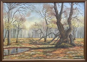 Impressionista Autunnale Paesaggio Foresta Parco Faunistico Dyrehaven Danimarca - Bild 1 von 16