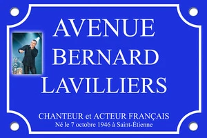 PLAQUE RUE Bernard LAVILLIERS Salsa Brésil 30X20cm ALU - Picture 1 of 1