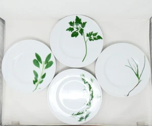 Juego de 4 platos de cena de porcelana Schonwald Dibbern Herbaticum 10,25" cuatro hierbas - Imagen 1 de 6