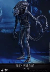 New Hot Toys MMS354 Aliens Alien Warrior 1/6 Collectible Action Figure 35cm - Picture 1 of 19
