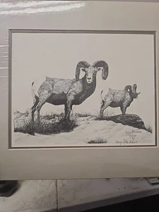 Original Terry Maddox Big Horn Sheep Pencil Drawing Numbered And Signed - Picture 1 of 6