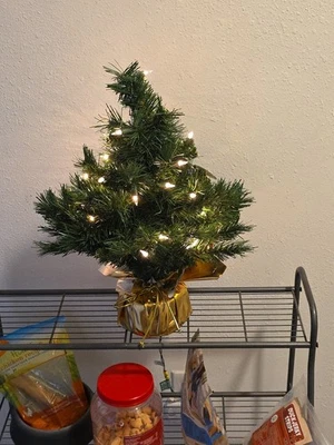 National Tree Company 2 Ft Prelit Fir Christmas Tree w/ Base (Open Box). - Image 1 of 4