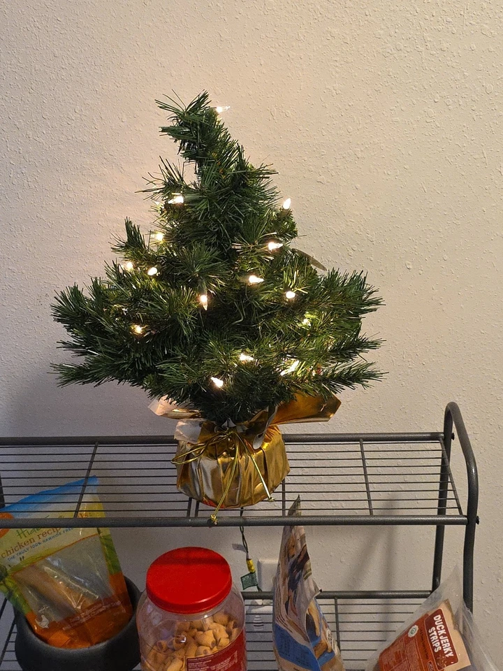 National Tree Company 2 Ft Prelit Fir Christmas Tree w/ Base (Open Box). - Image 1 of 4