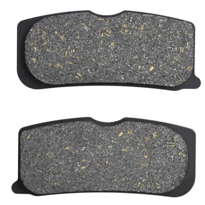 1 Pair Brake Pad for Can-Am Spyder SM5 SE5 GS990 08-11 RS SES SMS 990cc RT-S RT - Image 1 of 4