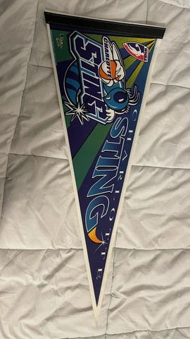 Vintage WNBA Charlotte Sting Vintage Style #2 Logo Basketball Full Size Pennant Cover
