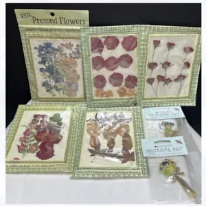 PRESSED FLOWERS Dried Botanical Crafting Embellishments Lot of 7 - Picture 1 of 1