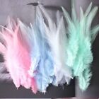100pcs Dyed Chicken Feathers Colorful Rooster Feather DIY Clothing Decorations
