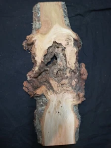 S-1049 Black Cherry Burl Slab _ 17 1/2"x4.5-6"x1 1/4" - Picture 1 of 2