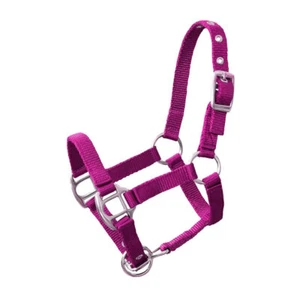 Halter Mini Shetty Pony Mini Mini Shetty, Falabella American Miniature Pony - Picture 1 of 1