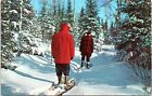 Wisconsin Vacationland scene - Two people on Snowshoes - 1960s Chrome Postcard