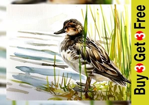 Watercolor Duck 5"x7" Print on Matte Paper | Elegant Wildlife Art - Picture 1 of 17