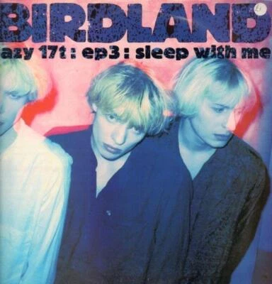 EP3 Sleep With Me Birdland 1990 Records Free UK P&P Value Guaranteed - Image 1 of 4