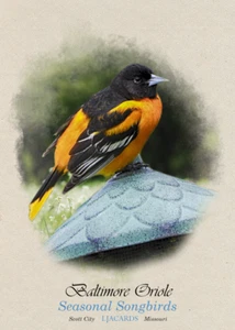 Tarjetas coleccionables de aves ornitológicas de primavera 2025 LJACards "Seasonal Songbirds" ACEO - Imagen 1 de 9