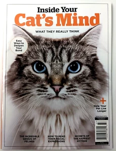 Im Kopf Ihrer Katze, was sie wirklich denkt - Helfen Sie Ihrem Haustier, länger zu leben - Bild 1 von 4