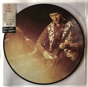 Jah Wobble Access All Areas Picture Disc Vinyl Record New 5014797892224 - Imagen 1 de 1