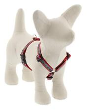 Lupine Small Adjustable Dog Harness 1/2 Wide with 12-20 Adjustable Girth