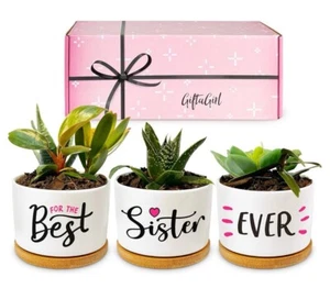 3 Stück Beste Schwester aller Zeiten Keramik Übertopf Töpfe Pflanze Geschenkset Halter Neu - Bild 1 von 8