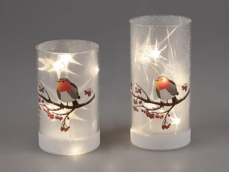 Formano Deko Licht aus Glas mit LED-Licht + Timer, Wintervogel mit Spezialfolie - Bild 1 von 1