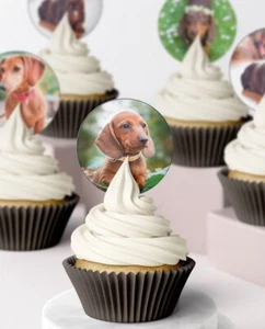 Salchicha comestible Dachshund glaseado oblea cupcakes decoraciones de cumpleaños - Imagen 1 de 3