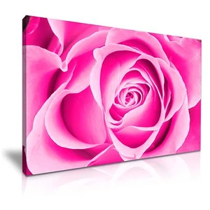 Große rosa Rose Blume Leinwand Wandbild Bild Druck 76 cm x 50 cm - Bild 1 von 7