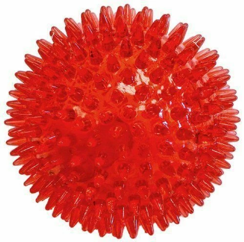 Gnawsome Dental Ball Pet Toy With Squeaker -cleans Teeth Assorted Colors Medium