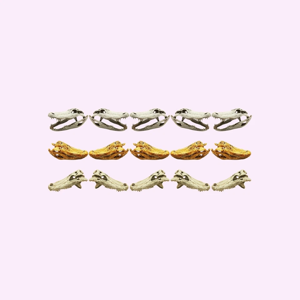 THE SCALE GRAIL Alligator Skull - 1:24 scale replica reptile skull diorama dollhouse (set of 5)